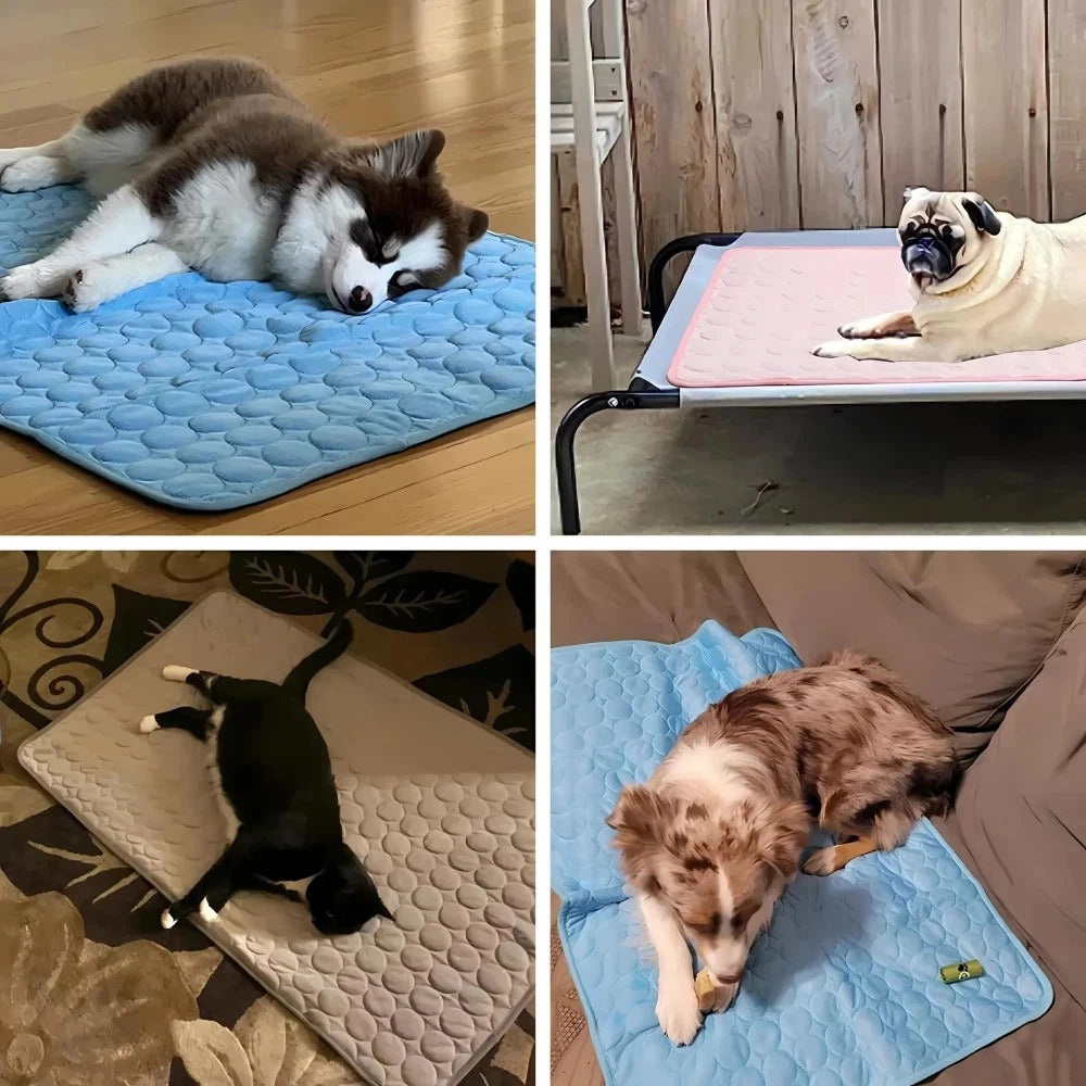 Pet Dog Cat Cooling Mat Bed Summer Cool Mat For Dog Cat Pad Bed Mattress UK