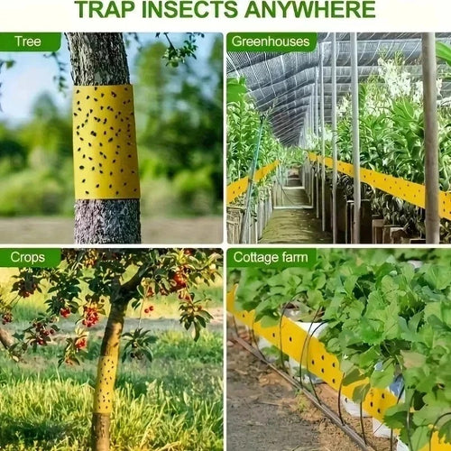 Yellow sticky insect barrier tape stretched along greenhouse benches
