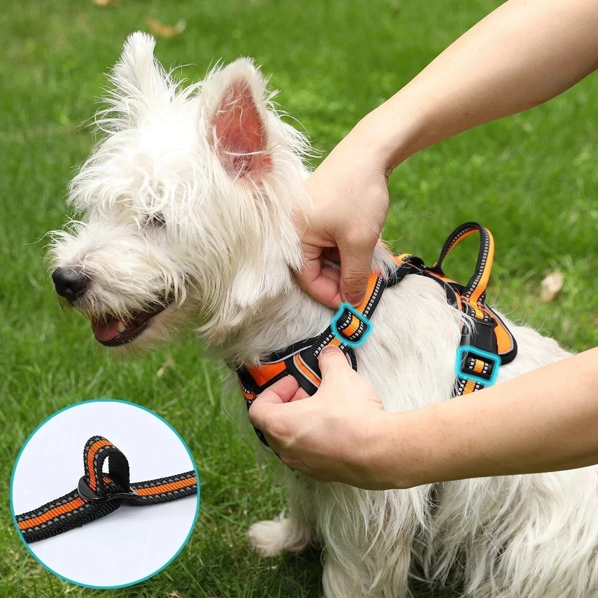 Dog Harness No Pull Adjustable Strong Reflective Vest For Small Medium Dogs Pets