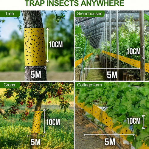 Yellow sticky insect barrier tape wrapped around a tree trunk