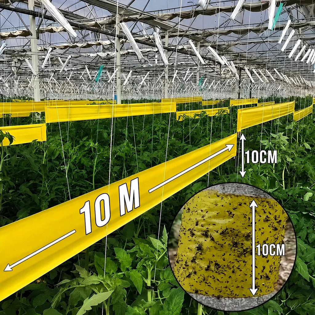 10M Double Sided Sticky Insect Barrier Tape Roll – Garden Tree Pest Fly Bug Cont