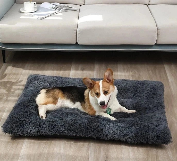 Luxury Calming Dog Bed Soft Washable Pet Cushion Mat for Large Small Dogs Cats U
