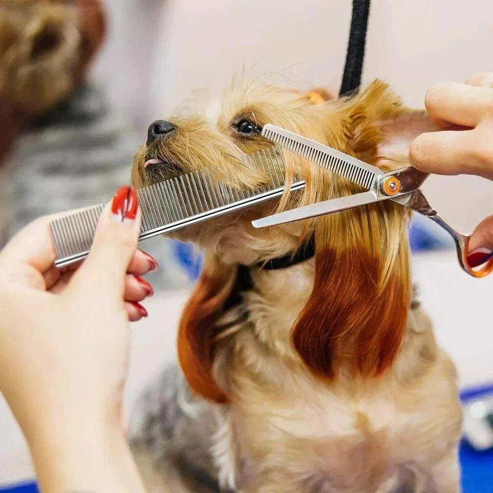 Dog Cat Pet Grooming Comb Double Row Metal Teeth Fur Rake Brush for Shedding UK